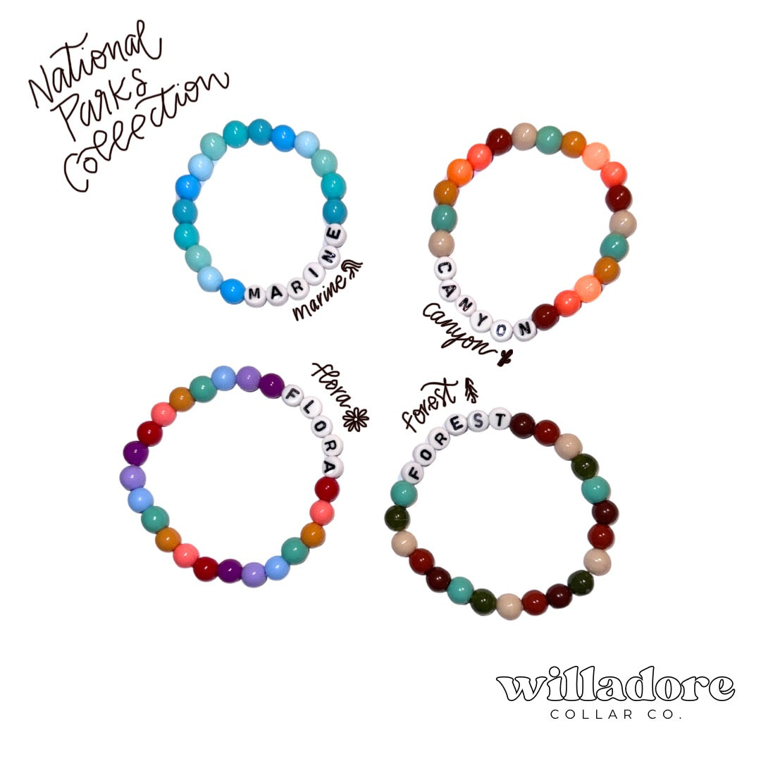 Friendship Bracelet
