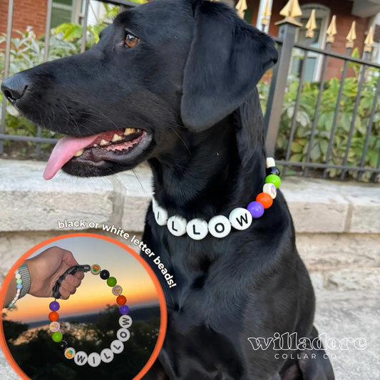 Fi Treat | Halloween Cookie Dog Collar - Willadore Collar Co.