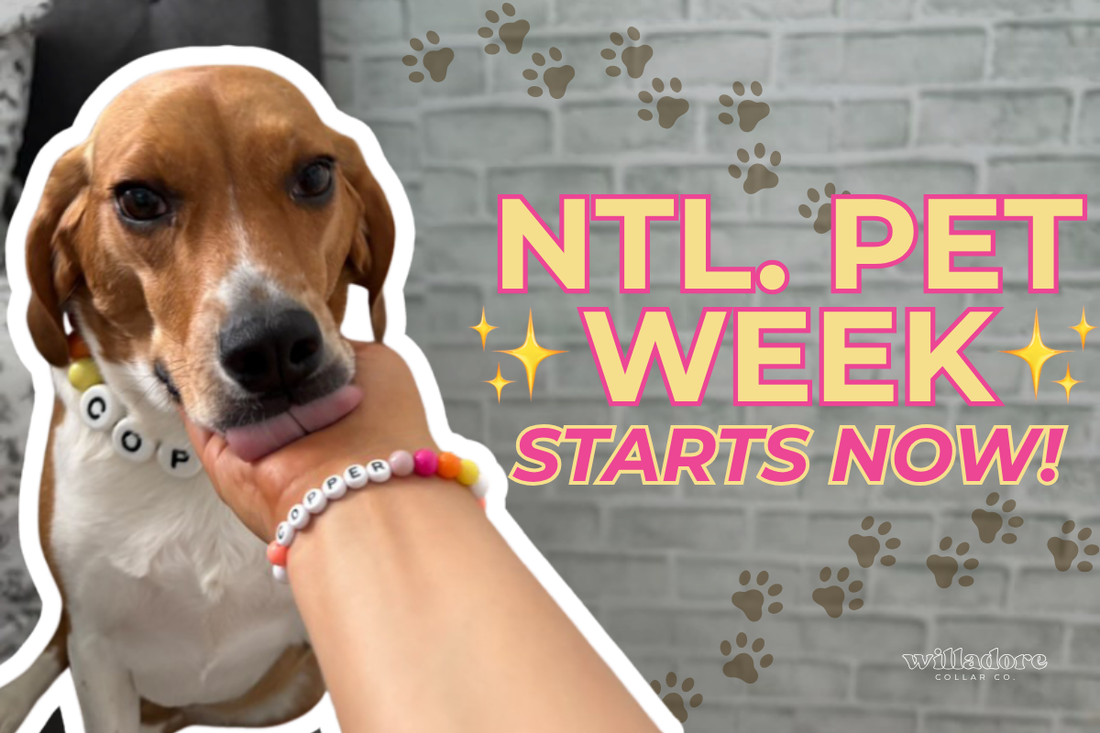 National Pet Week Starts Now graphic with a dog wearing their friendship beaded dog collar who's licking their owners hand who is also wearing their matching friendship bracelet.