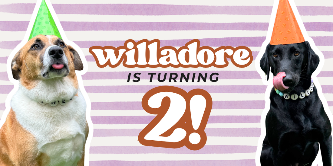 Text "Willadore is turning 2!" on a purple and white stripped background. There is a brown and white dog wearing a green birthday hat and a black dog wearing an orange birthday hat. Both dogs are also wearing their beaded friendship dog collars.
