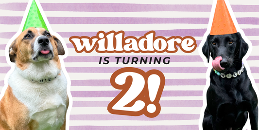 Text "Willadore is turning 2!" on a purple and white stripped background. There is a brown and white dog wearing a green birthday hat and a black dog wearing an orange birthday hat. Both dogs are also wearing their beaded friendship dog collars.