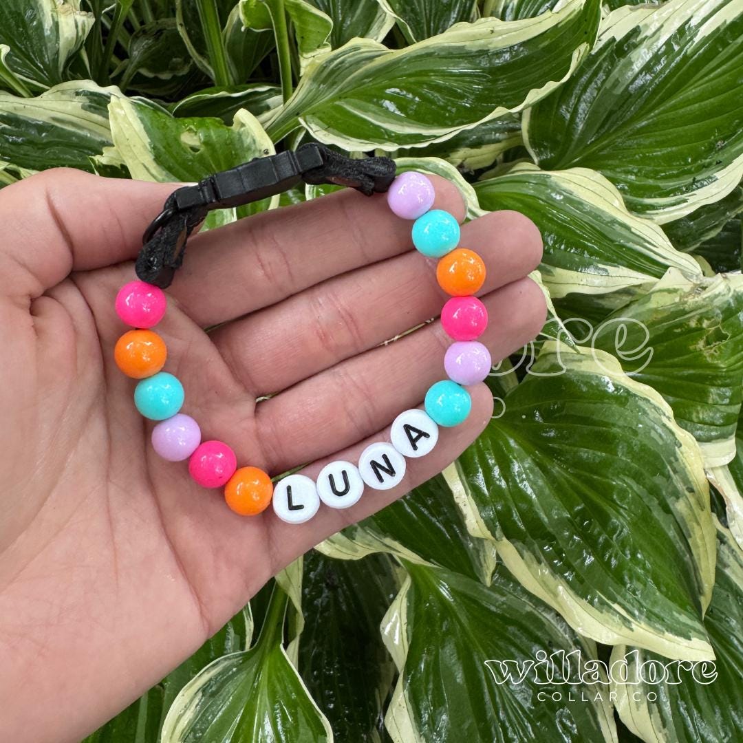 Custom + Specialty Cat Collars