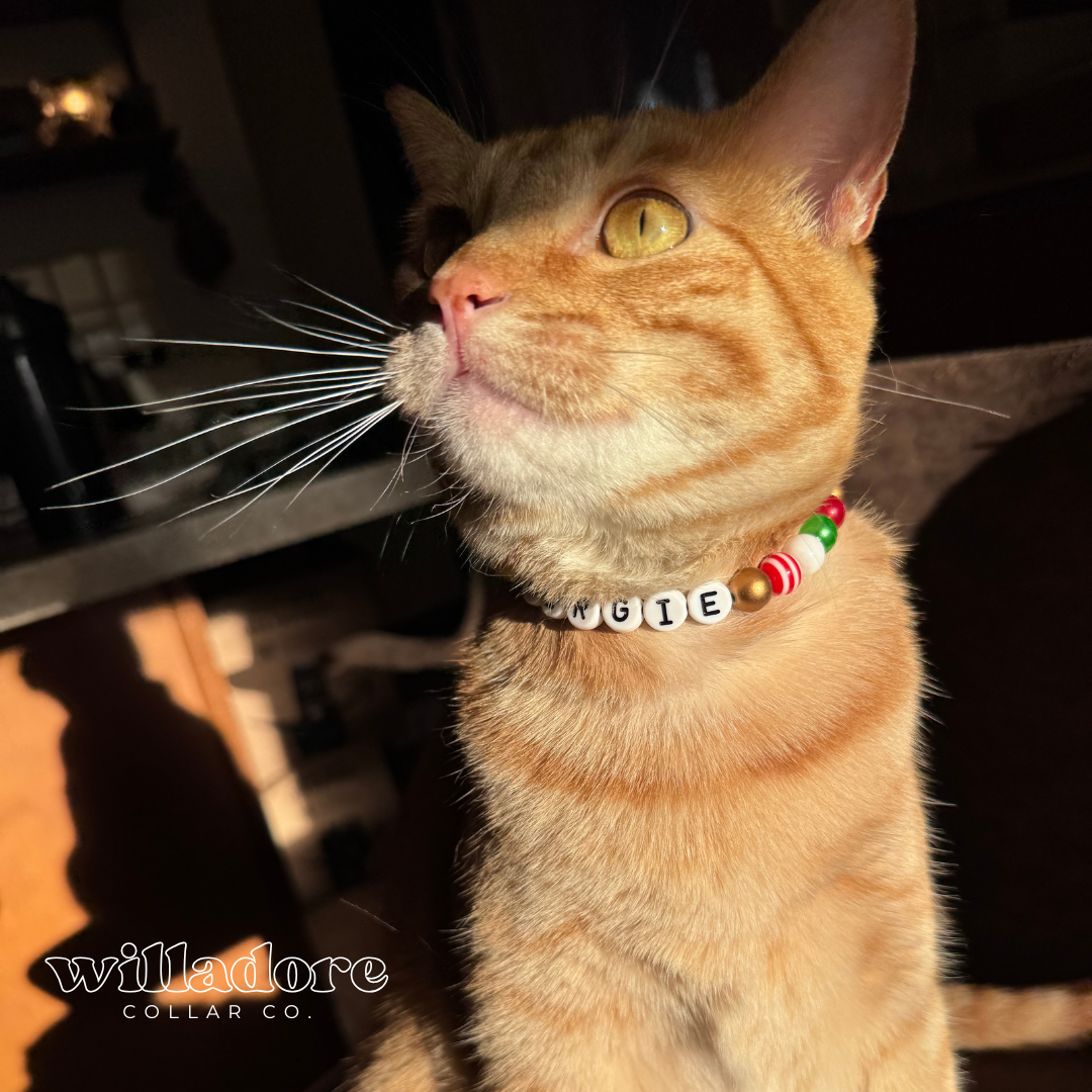 Seasonal Cat Collars