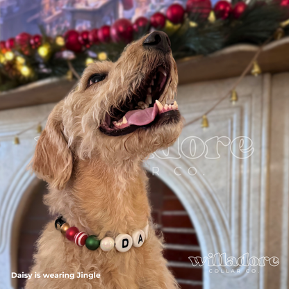 Vintage Dog Friendship Collar