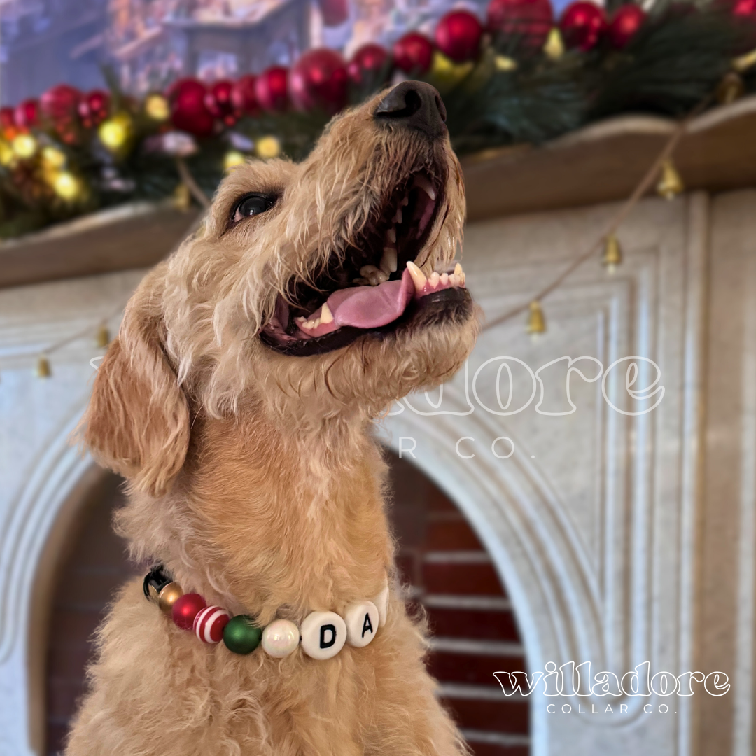 Jingle Dog Friendship Collar