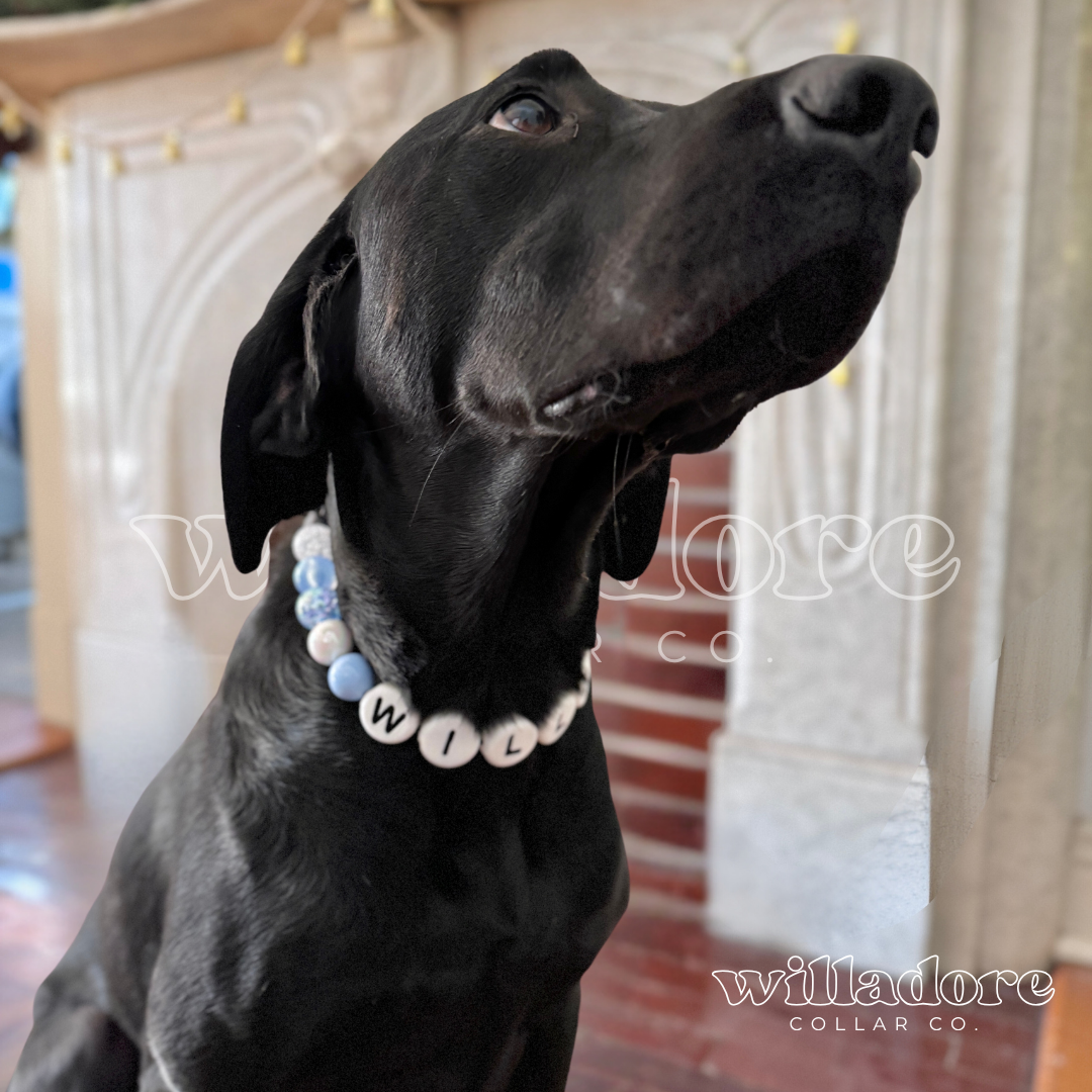 Flurry Dog Friendship Collar