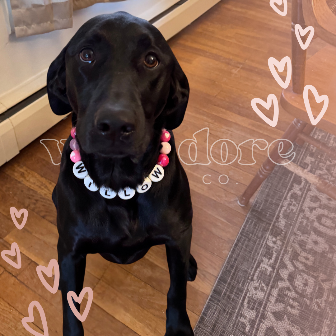 Adore Dog Friendship Collar