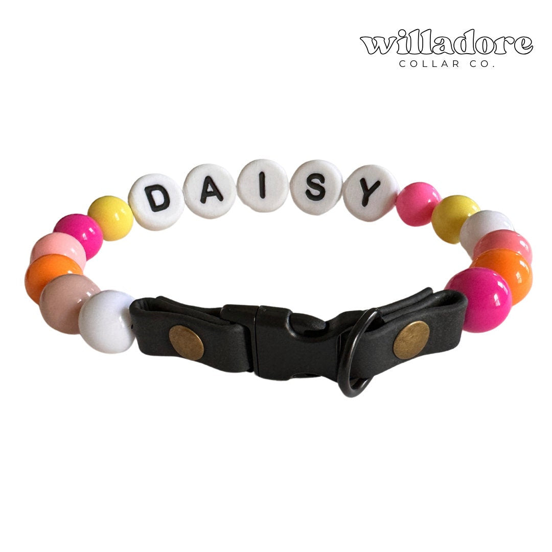 Sunset Dog Friendship Collar