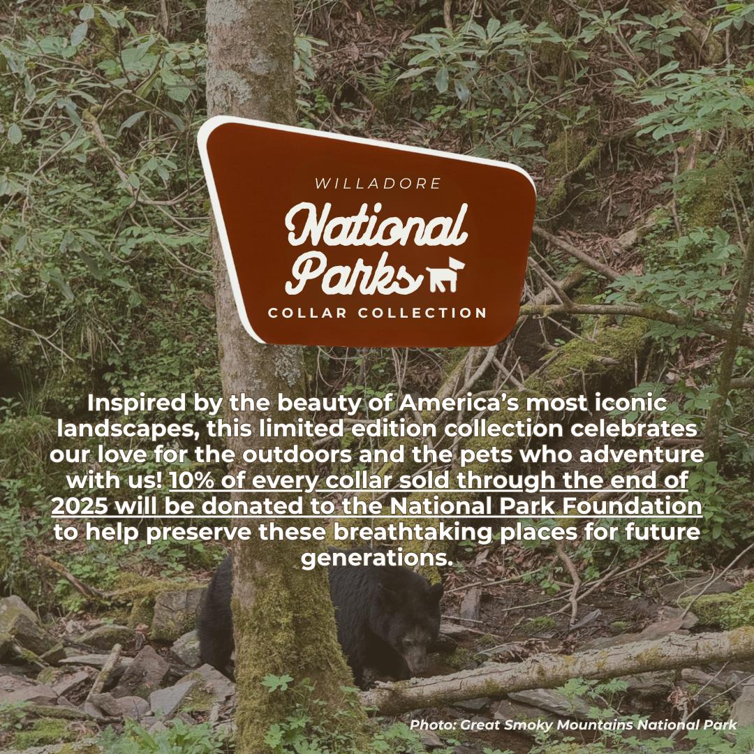 Forest Dog Friendship Collar