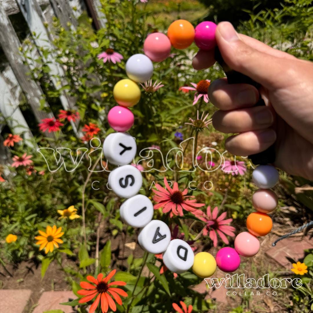 Sunset Dog Friendship Collar