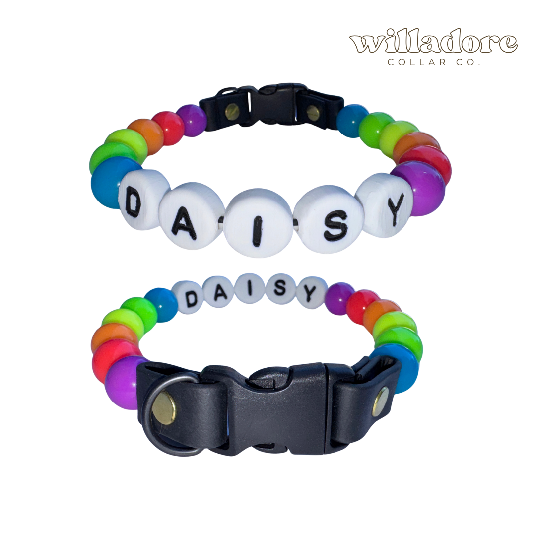 Neon Friendship Dog Collar