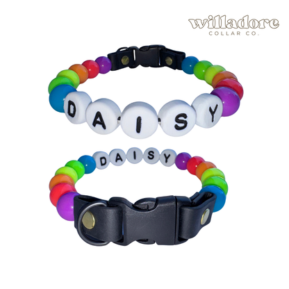 Neon Friendship Dog Collar