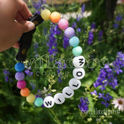 Prism Dog Friendship Collar