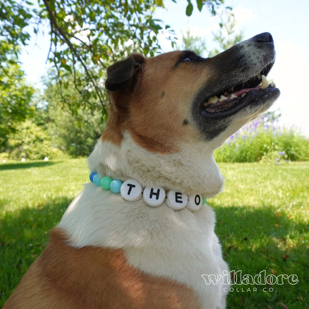 Breeze Friendship Dog Collar