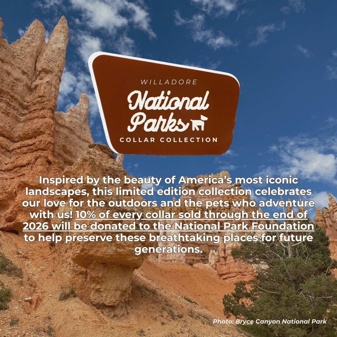 Bryce Canyon National Park landscape with Willadore National Parks Collar Collection branding, promoting limited‑edition nature‑inspired handmade pet collars supporting the National Park Foundation
