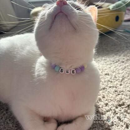 Custom Friendship Cat Collar | You Choose the Colors!