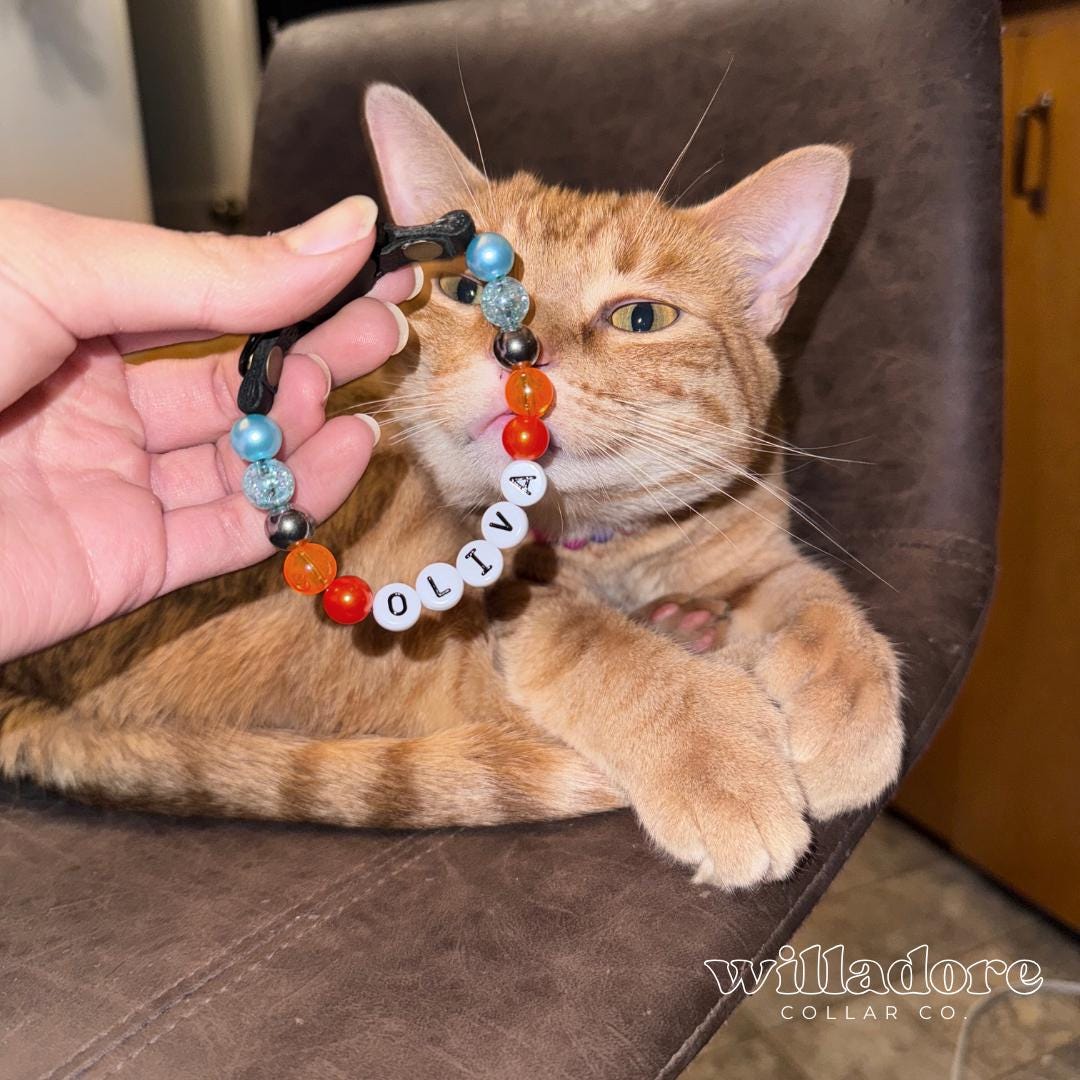 Cat with a custom beaded breakaway collar featuring multicolor beads and OLIVA name letters, highlighting Willadore Collar Co.’s personalized safety‑focused cat collars