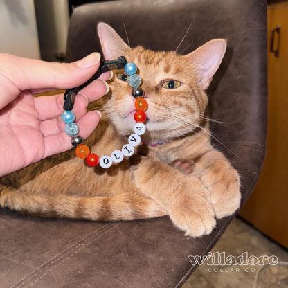 Cat with a custom beaded breakaway collar featuring multicolor beads and OLIVA name letters, highlighting Willadore Collar Co.’s personalized safety‑focused cat collars