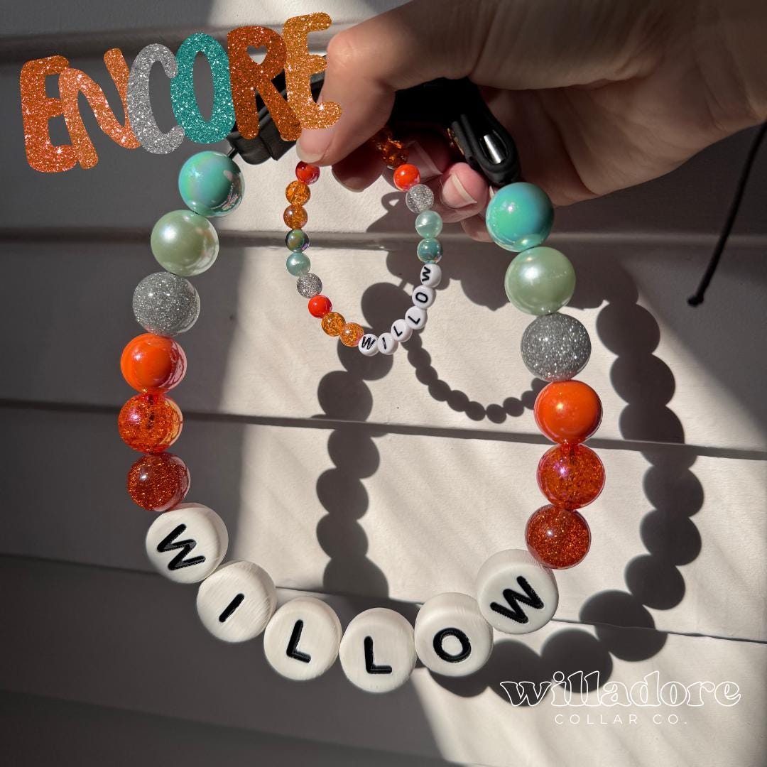 Custom beaded pet collar with multicolor beads and WILLOW name letters, highlighting Willadore Collar Co.’s personalized handmade beaded collars.
