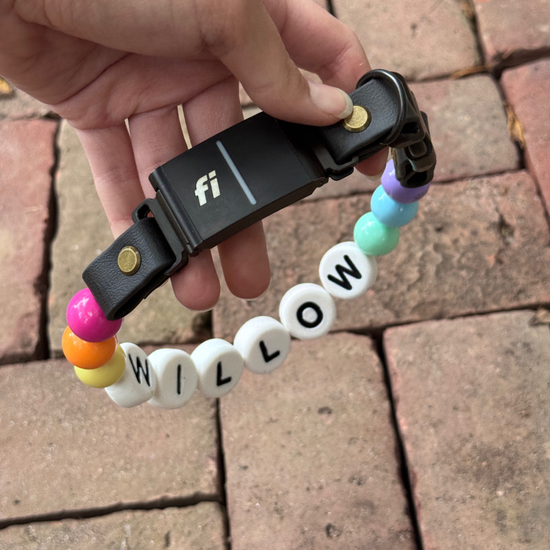 Custom beaded dog collar with rainbow beads and WILLOW name letters attached to a Fi-compatible strap, showing a personalized design option for Willadore Collar Co.’s handmade beaded dog collars.