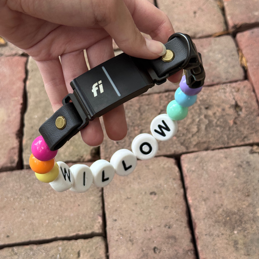 Custom beaded dog collar with rainbow beads and WILLOW name letters attached to a Fi-compatible strap, showing a personalized design option for Willadore Collar Co.’s handmade beaded dog collars.