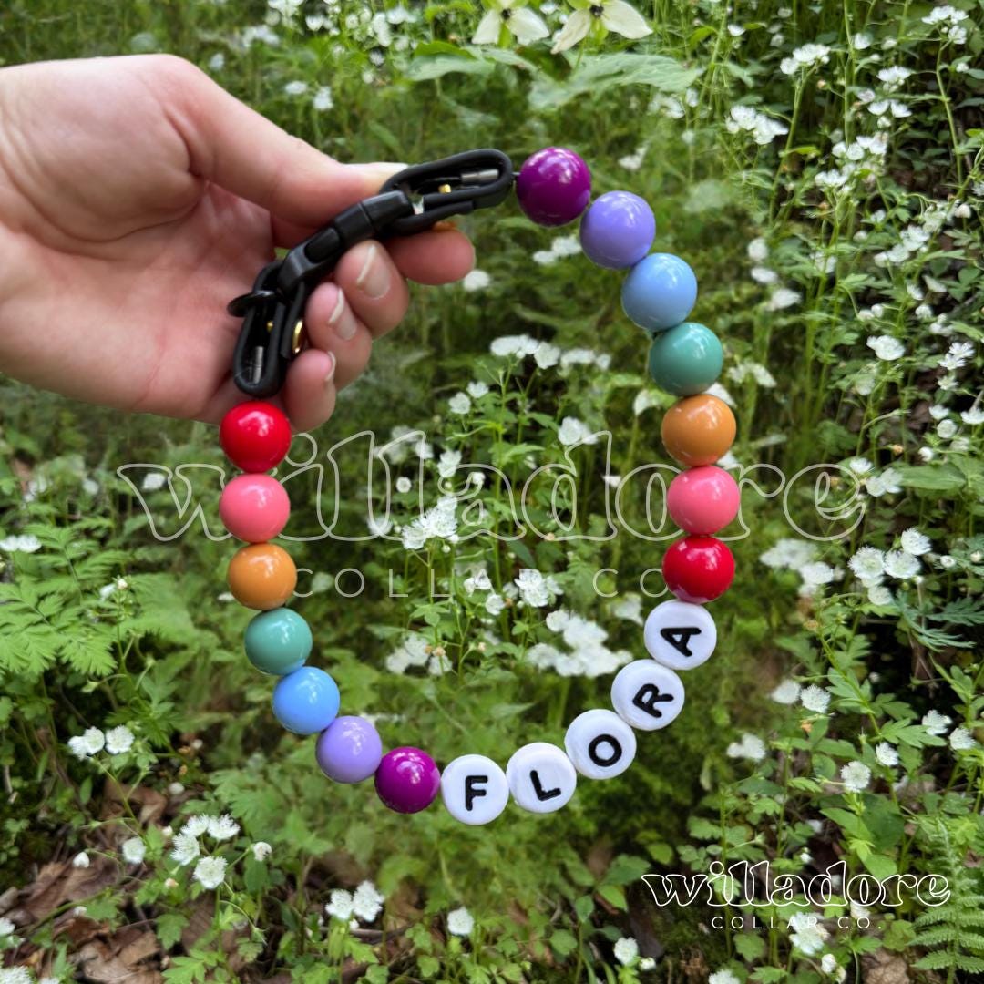 Custom beaded pet collar with multicolor beads and FLORA name letters, highlighting Willadore Collar Co.’s personalized handmade beaded collars.