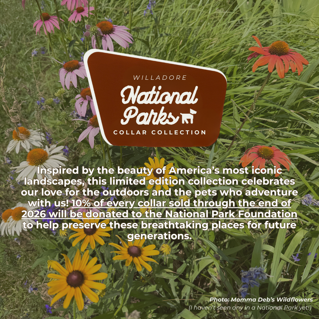 Wildflower background with Willadore National Parks Collar Collection branding, highlighting the limited‑edition nature‑inspired collars and donation support for the National Park Foundation.