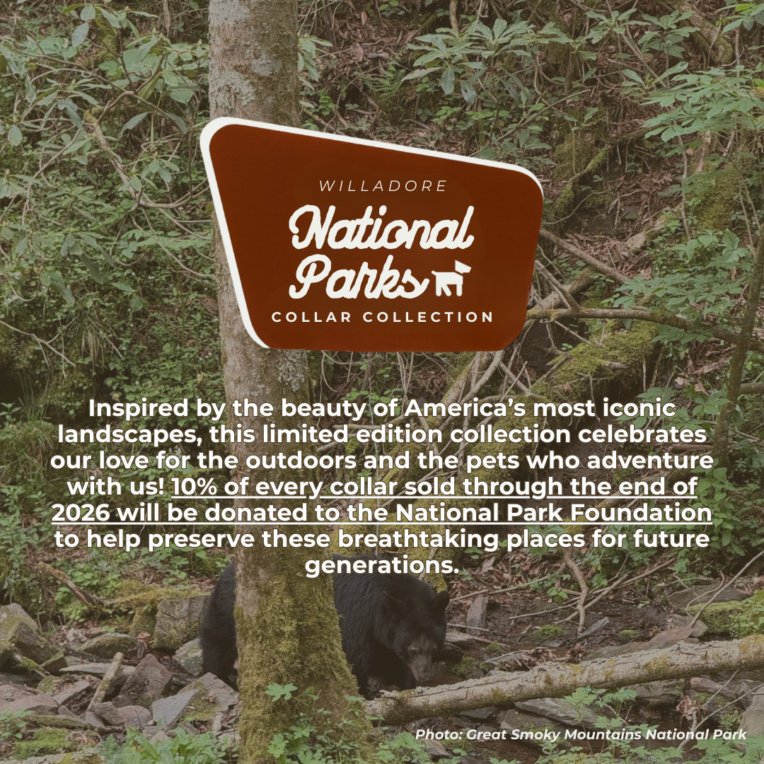 Great Smoky Mountains forest scene with black bear and Willadore National Parks Collar Collection branding, promoting limited‑edition nature‑inspired handmade pet collars supporting the National Park Foundation
