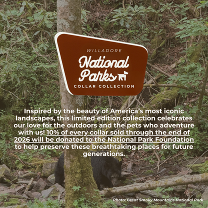Great Smoky Mountains forest scene with black bear and Willadore National Parks Collar Collection branding, promoting limited‑edition nature‑inspired handmade pet collars supporting the National Park Foundation