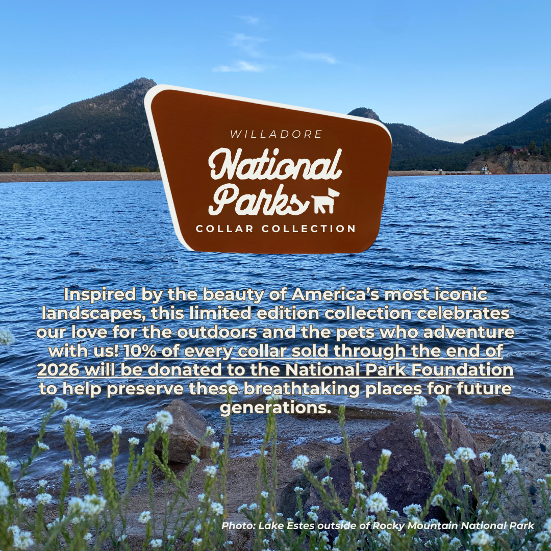 Mountain lake landscape with Willadore National Parks Collar Collection branding, highlighting the limited‑edition nature‑inspired collars and donation support for the National Park Foundation.