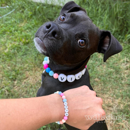 Black dog wearing a colorful friendship collar, with a person's arm showing the matching bracelet.