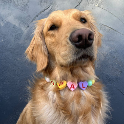 Golden retriever dog wearing a candy heart beaded collar with heart letter beads