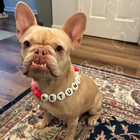 XOXO Dog Friendship Collar