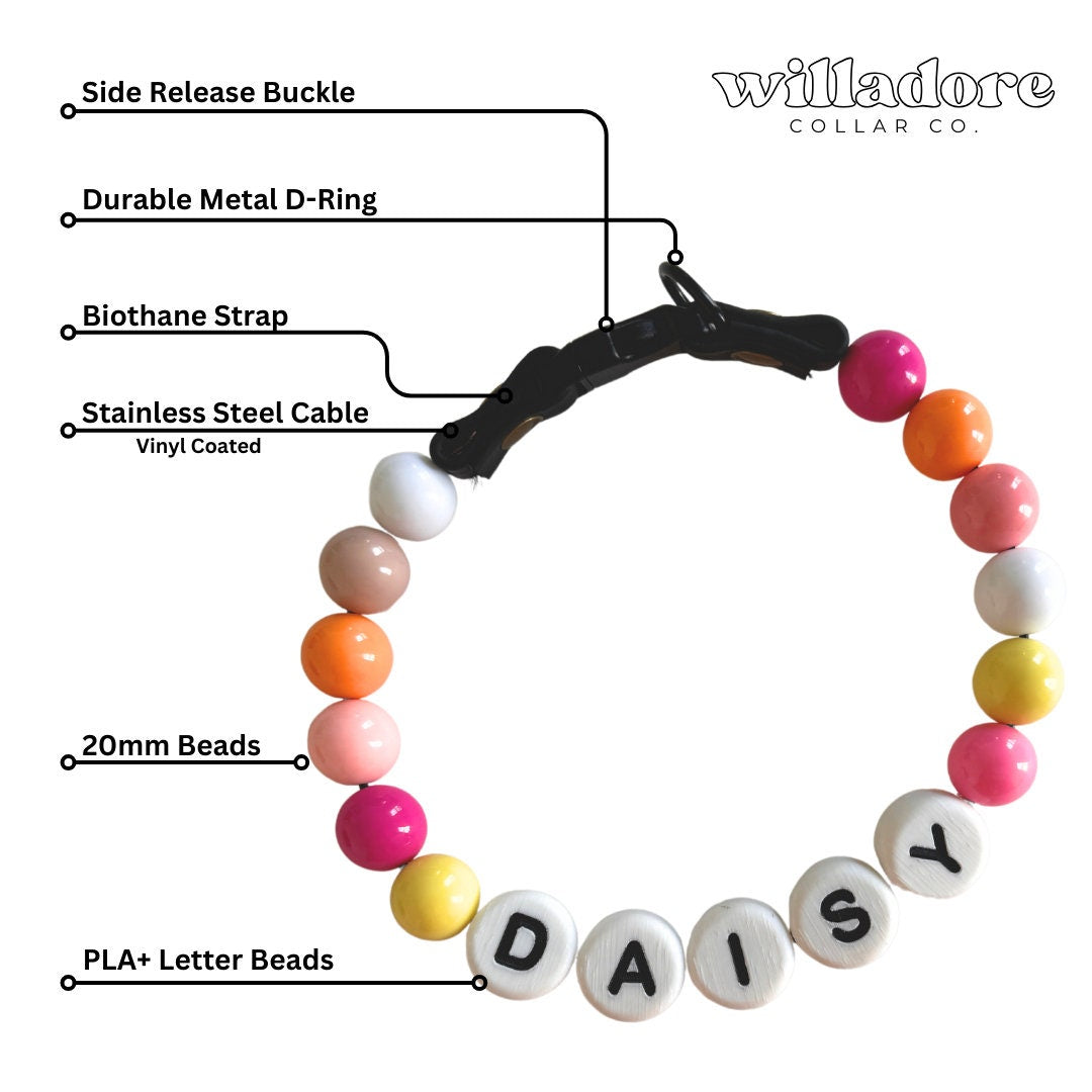Sunset Friendship Dog Collar