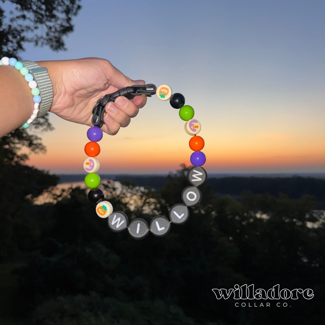 A beaded dog collar held by a person's hand against an outdoor sunset landscape. The collar features black letter beads spelling 'WILLOW' and colorful round beads in orange, purple, green, black, and featuring take-and-bake cookie dough beads.