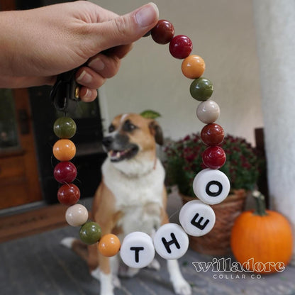 Harvest Dog Friendship Collar