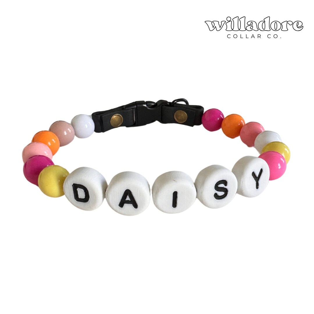 Sunset Dog Friendship Collar